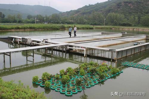 水产养殖的循环经济模式，废物利用与资源最大化