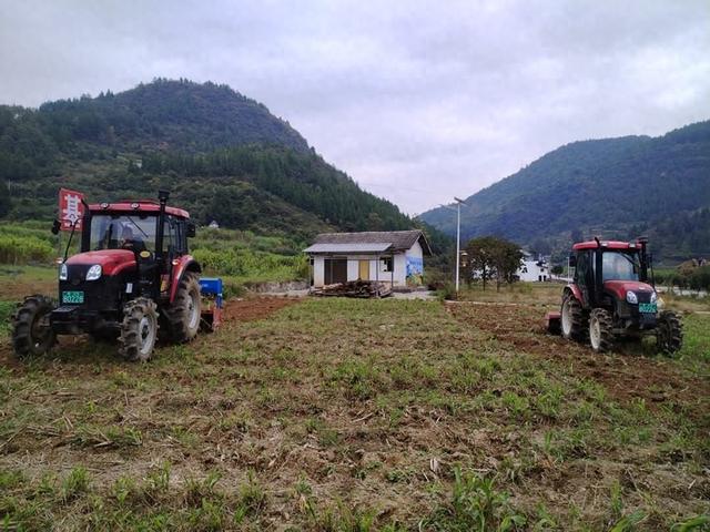 沿河：油菜种植让“农闲田”变“效益田”