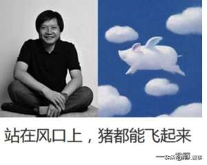 广西罗氏虾养殖(2019年小龙虾产值高达3690亿元但为什么7成的养殖户却不赚钱？)