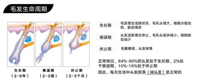 99%的人所关心的问题-植发后，新头发多久会长出来？