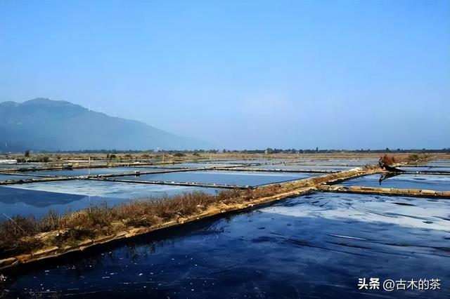 地中海鳎的生物学特性及其养殖技术