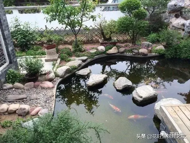 锦鲤鱼池建造，细节很重要