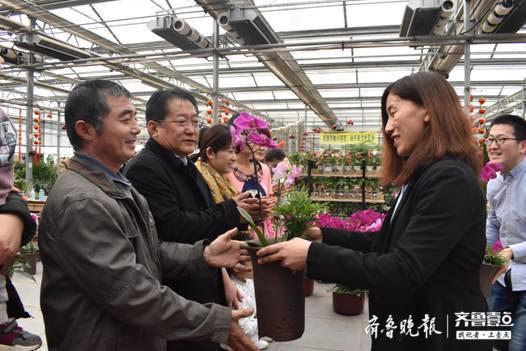 一入花海迷望眼，蝴蝶花开醉游人！滨州“壹粉看花”拥抱万平花海