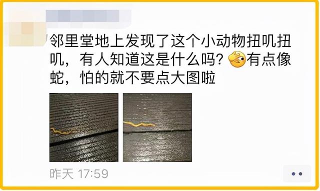 有人放蛊？杭州出现断成两节能再生，饿了吃自己生殖器的“蛊虫”