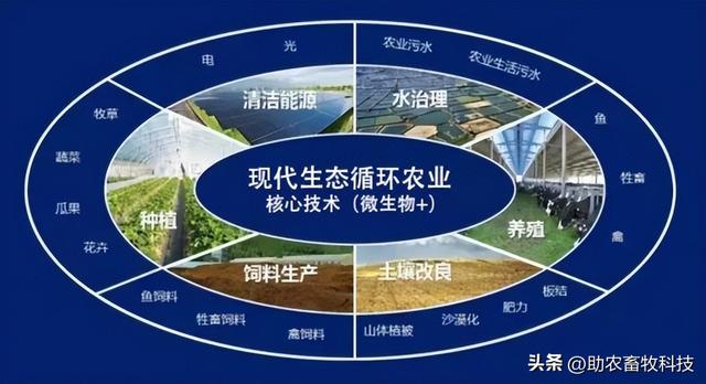 现代生态养殖与传统生态养殖、清洁养殖的区别在哪里？