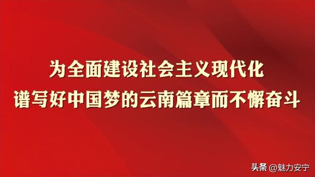 吃蟋蟀？今天，记者带你走进县街街道一家食用蟋蟀养殖企业