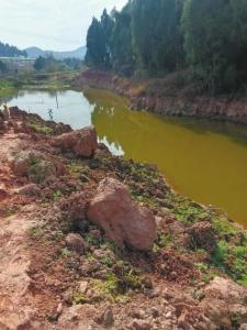 土地承包种果蔬 村民没闻到钱味闻臭味