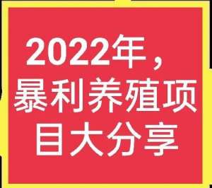 肉狗养殖成本分析(2022年，养殖什么能赚钱？)