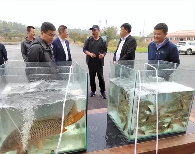 中国水产科学研究院淡水渔业中心建鲤2号辽阳繁育基地挂牌成立