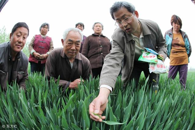 从事种植养殖的农民切记，不要因好奇使自己亏损，这3件事要小心