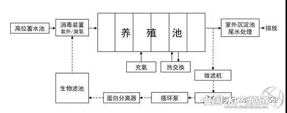 对虾工厂化循环水高效生态养殖技术