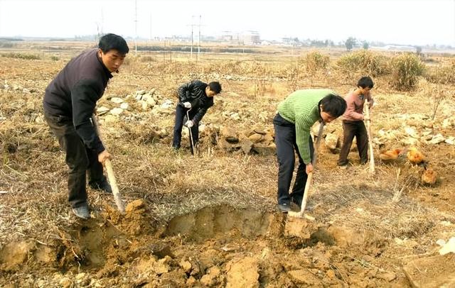 沈阳老板开生鲜超市巧用鸡蛋引流一年盈利82万，套路不错