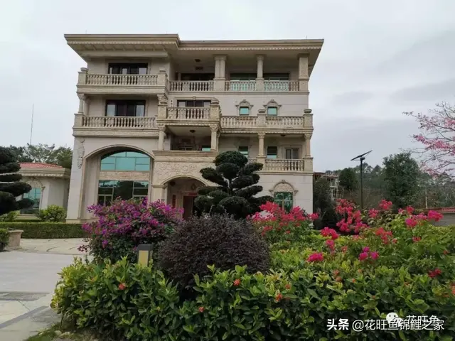 锦鲤鱼池建造，细节很重要