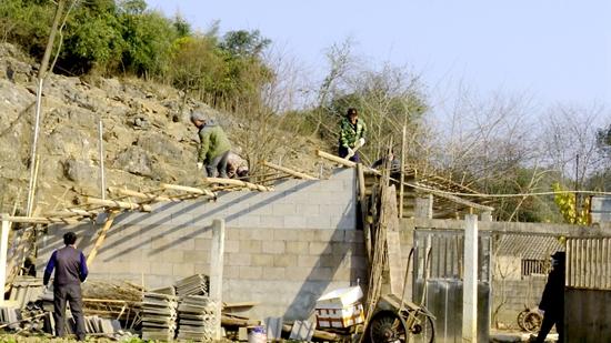 索溪峪街道拆除农村养殖场违法建设