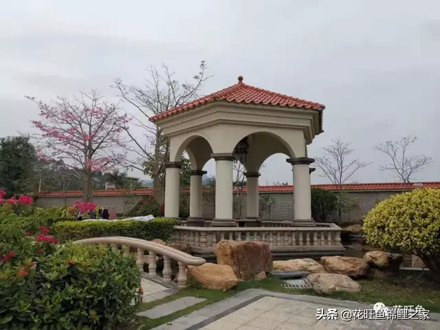 锦鲤鱼池建造，细节很重要