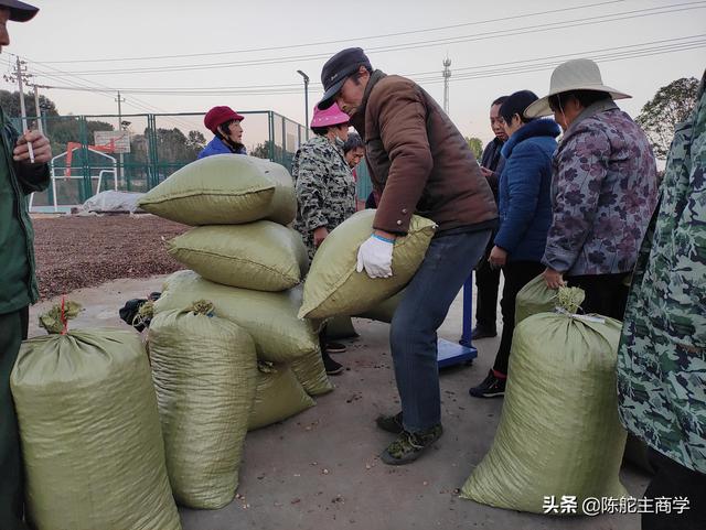 建设美丽乡村，还能不能搞家庭养殖？