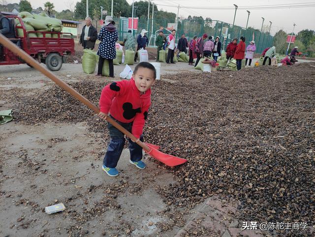 建设美丽乡村，还能不能搞家庭养殖？