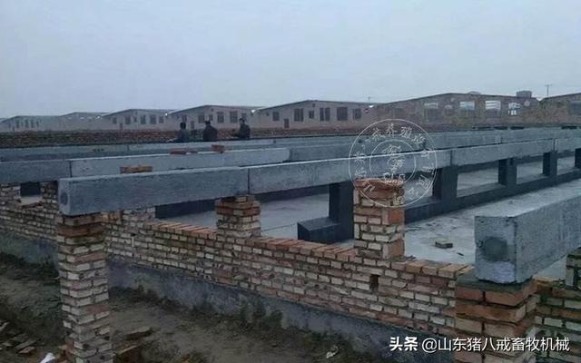 100头自繁自养母猪场建设需要多少钱？