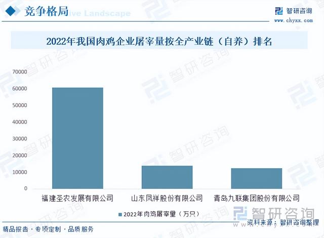 【前景趋势】一文读懂2023年肉鸡养殖行业未来发展前景