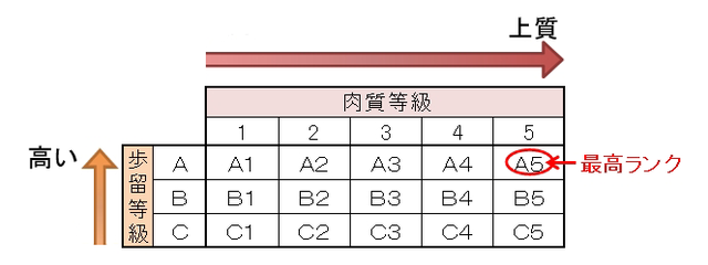 关于和牛的各种干货，这一篇都为你解释清楚了（文末有惊喜）