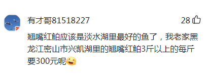 这也能泛滥？翘嘴红鲌入侵四川邛海暴增100吨，呼吁全国钓友出击