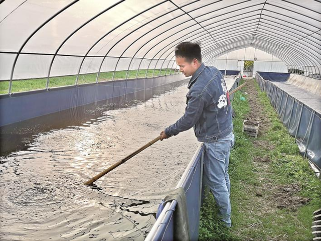 探索大棚养殖虾蟹模式，他带领村民蹚出致富新路