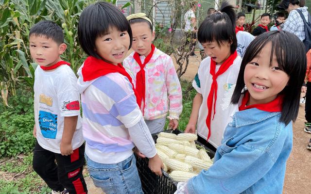 喂鸵鸟、种香蕉、踢足球……云南大山村小“学在土地上”