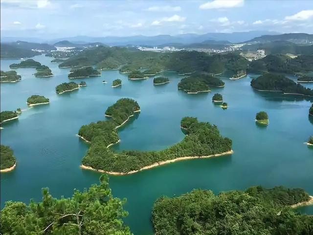 千岛湖的“两大难”：鲢鳙放养60年，“保水鱼”保住了什么？