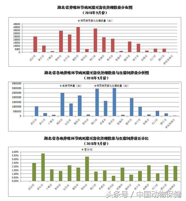 9月份湖北养殖环节无害化处理病死猪273201头 , 涉及183941养殖场