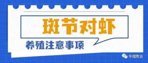 斑节对虾养殖2016(新手养殖斑节对虾怎么放苗？水质难管理，指标看这里)