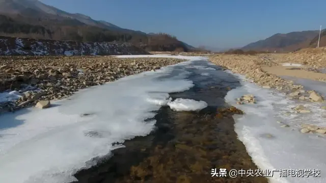 毛驴养殖技术视频(【田间示范秀】毛驴过寒冬)