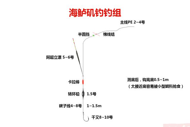 如何钓海鲈，用什么饵好，用什么钓组钓花鲈，哪里可以钓到海鲈？