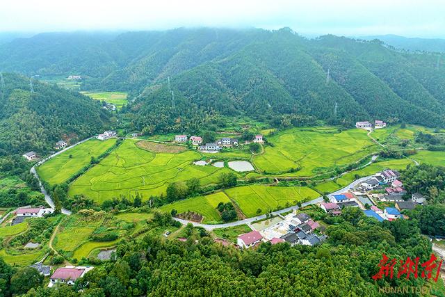 永和镇：美丽经济花正开 乡村振兴谱新篇