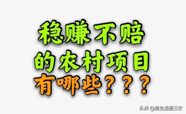 农村有什么养殖项目既赚钱，又稳定，而且投资小？