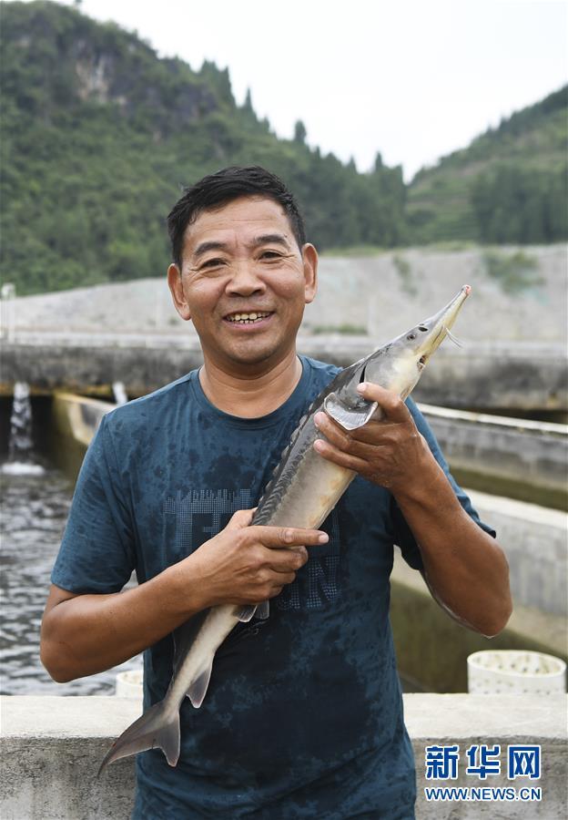 蒋开均：冷水鱼养出重庆山区“热经济”