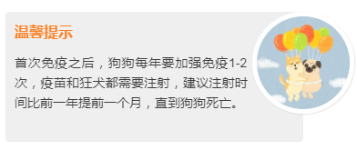 成都人！16日起开始收容禁养犬，一文看懂养狗攻略