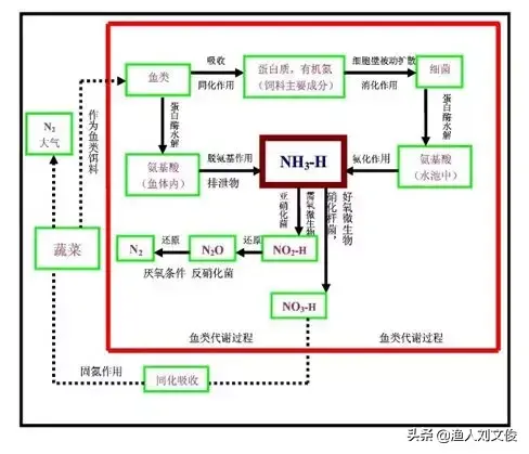 农业部主推技术：池塘鱼菜共生综合种养技术 净化水质有效果