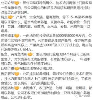 黄辣丁养殖成本(零下15度还能正常生长，养成后还保底15块回收？这个黄颡鱼苗那么神？)