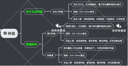 宝石刀种植和微针种植，怎么选？