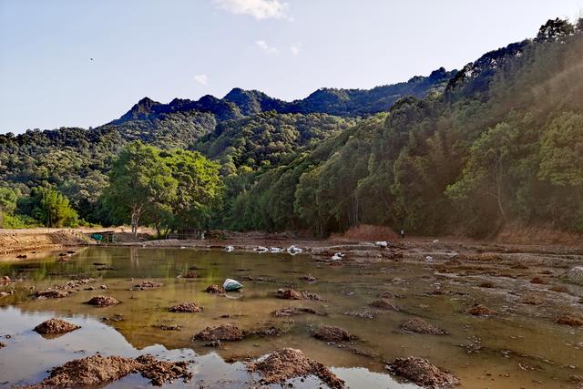 “水中冬虫夏草”-禾虫，怎么样做到亩产值3万元，种养技术要点