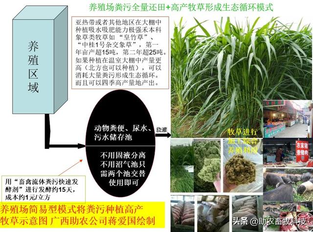 养殖粪污资源化利用的核心处理技术离不开微生物的功劳