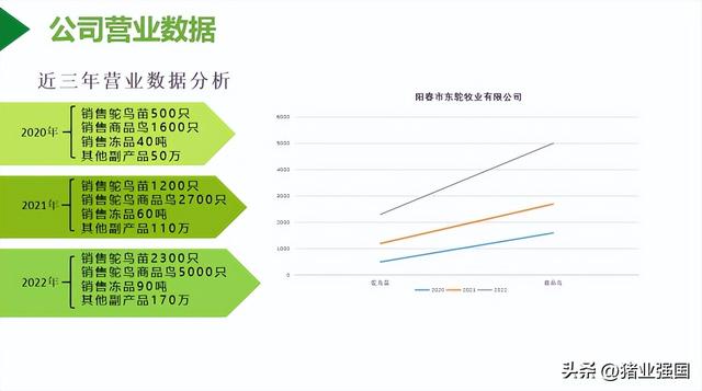 一只鸵鸟曾高达28万元！东鸵牧业刘学强：广东市场巨大！五大方向推广鸵鸟养殖产业