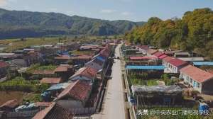 农广天地蓝莓种植视频(【农广天地】小小煎饼摊开致富路)