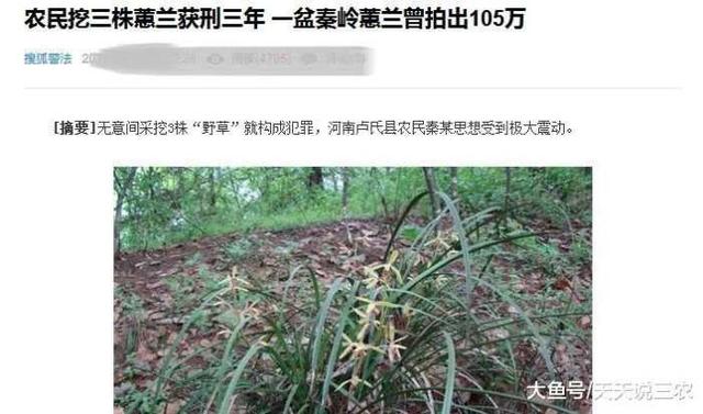 在农村, 禁止农民捕捉4种动物, 20只以上就犯罪