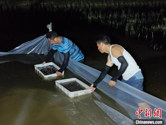 广西贵港市将打造“中国南方富硒小龙虾之乡”