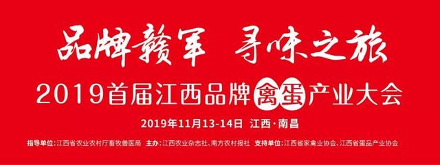 35年时间从3只发展到10万羽，他将曾濒临绝种的东乡黑羽绿壳蛋鸡产业发展壮大