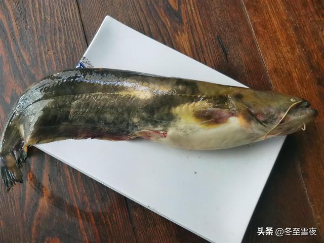 鲶鱼怎样做好吃，教你一道东北做法，荤素搭配，鲜香味浓，特下饭