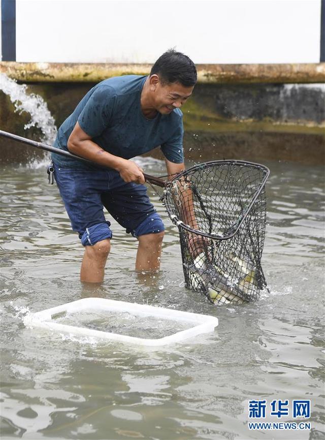 蒋开均：冷水鱼养出重庆山区“热经济”