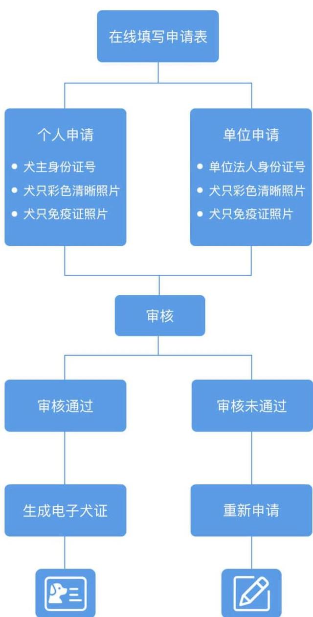 成都人！16日起开始收容禁养犬，一文看懂养狗攻略