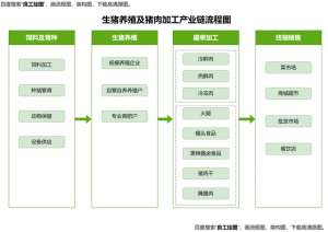 养殖业产业链(生猪养殖及猪肉加工产业链流程图)